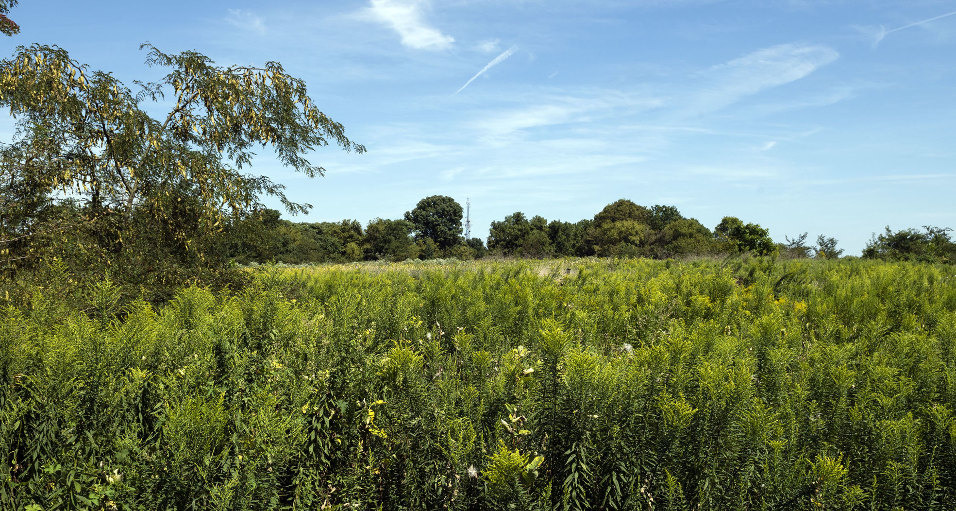 Lancaster County Central Park
